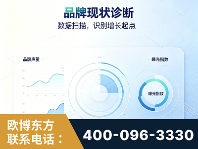 武安-品牌现状诊断